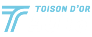 logo Toison d'or auto garagiste dijon