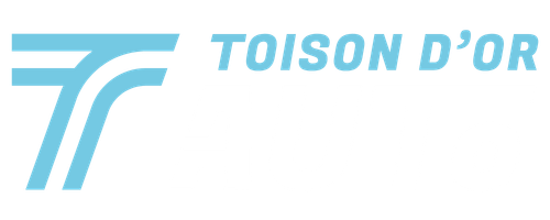 logo Toison d'or auto garagiste dijon